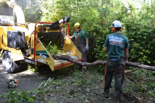 tree services Occidental